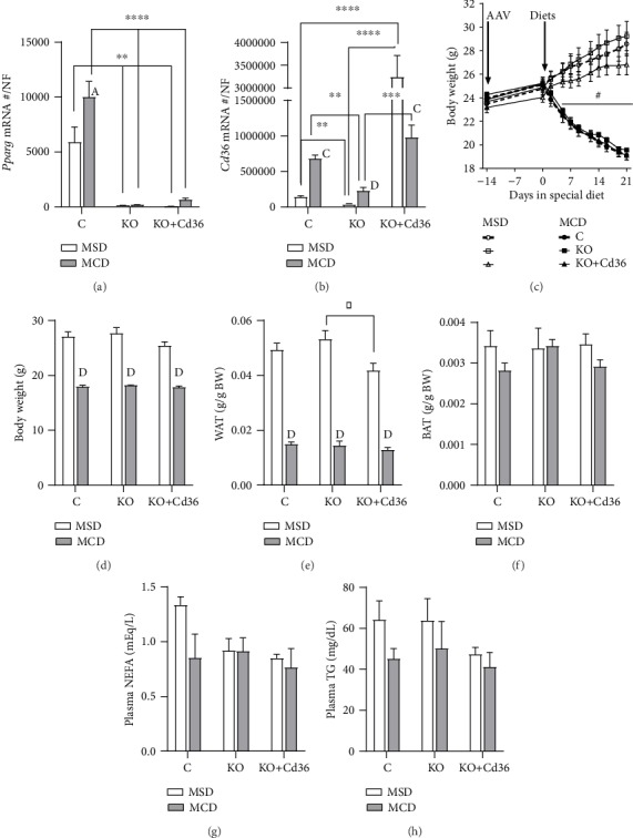 Loss of Hepatocyte-Specific PPAR<i>γ</i> Expression Ameliorates Early Events of Steatohepatitis in Mice Fed the Methionine and Choline-Deficient Diet.