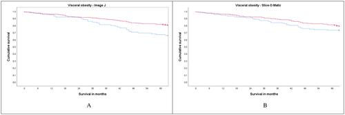 The relationship between computed tomography-derived body composition and survival in colorectal cancer: the effect of image software