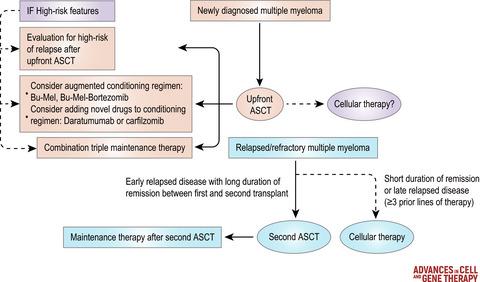 Expert perspective: Highlights on myeloma cell therapy from the American Society of Hematology Annual Meeting 2019