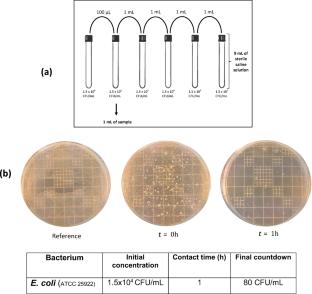 Agglomerates of Au-Pt bimetallic nanoparticles: synthesis and antibacterial activity