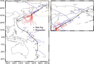 Ship-borne observations of sea fog and rain chemistry over the North and South Pacific Ocean