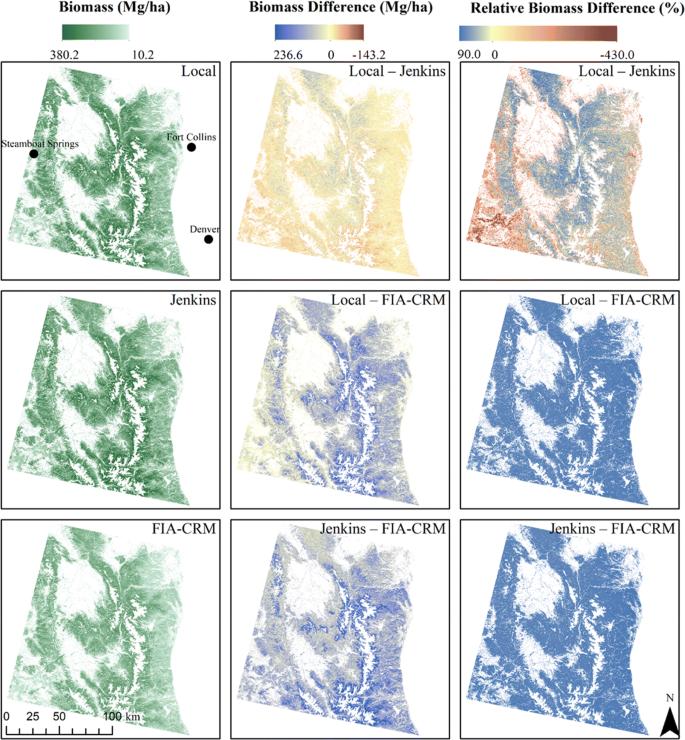 Variability and uncertainty in forest biomass estimates from the tree to landscape scale: the role of allometric equations