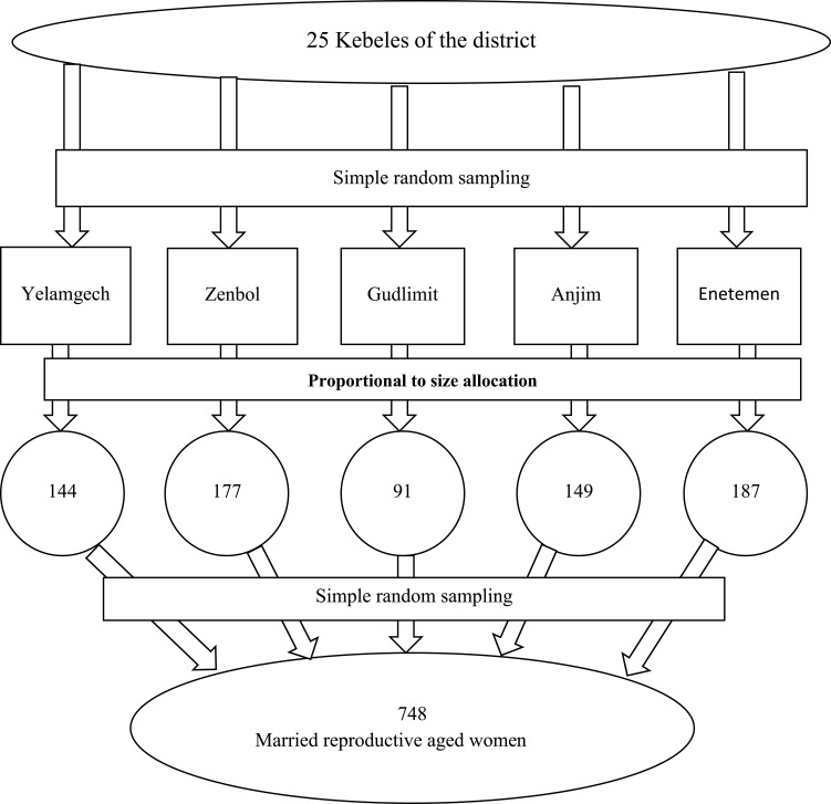 Married Women's Decision-Making Power in Family Planning Use and its Determinants in Basoliben, Northwest Ethiopia.