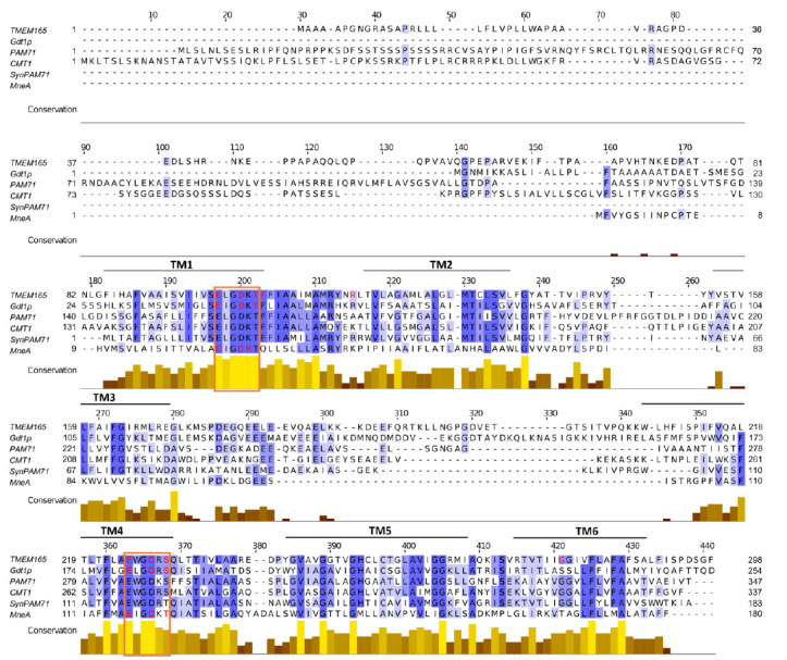 From the Uncharacterized Protein Family 0016 to the GDT1 family: Molecular insights into a newly-characterized family of cation secondary transporters.