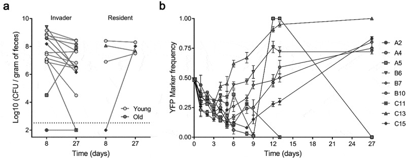 Mutation accumulation and horizontal gene transfer in <i>Escherichia coli</i> colonizing the gut of old mice.