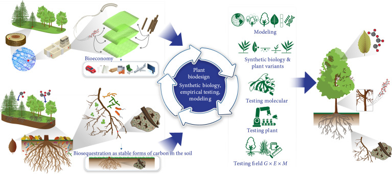 Plant Biosystems Design for a Carbon-Neutral Bioeconomy.