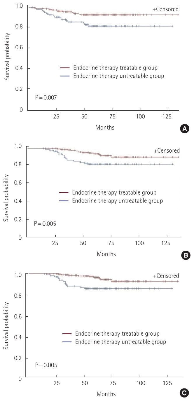 What predicts better prognosis in elderly breast cancer patients?