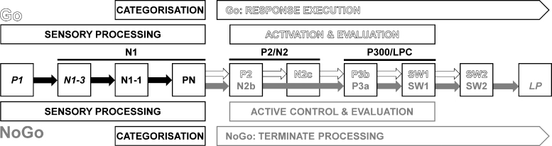 Caffeine as a Tool to Explore Active Cognitive Processing Stages in Two-Choice Tasks.