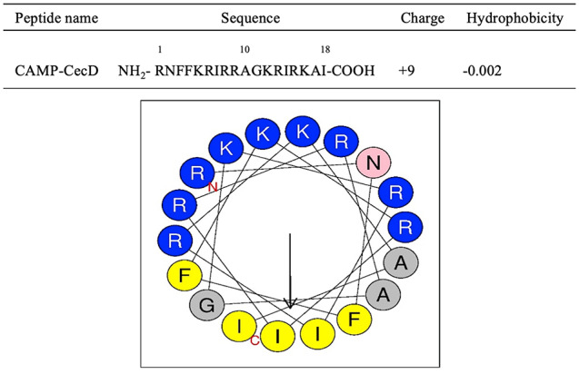 A Novel Cecropin D-Derived Short Cationic Antimicrobial Peptide Exhibits Antibacterial Activity Against Wild-Type and Multidrug-Resistant Strains of <i>Klebsiella pneumoniae</i> and <i>Pseudomonas aeruginosa</i>.