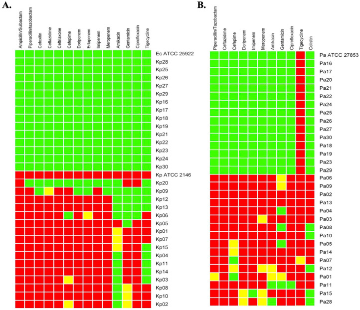 A Novel Cecropin D-Derived Short Cationic Antimicrobial Peptide Exhibits Antibacterial Activity Against Wild-Type and Multidrug-Resistant Strains of <i>Klebsiella pneumoniae</i> and <i>Pseudomonas aeruginosa</i>.