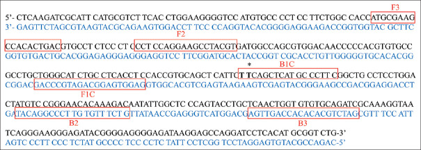 Detection of epidermal growth factor receptor T790M mutation by allele-specific loop mediated isothermal amplification.