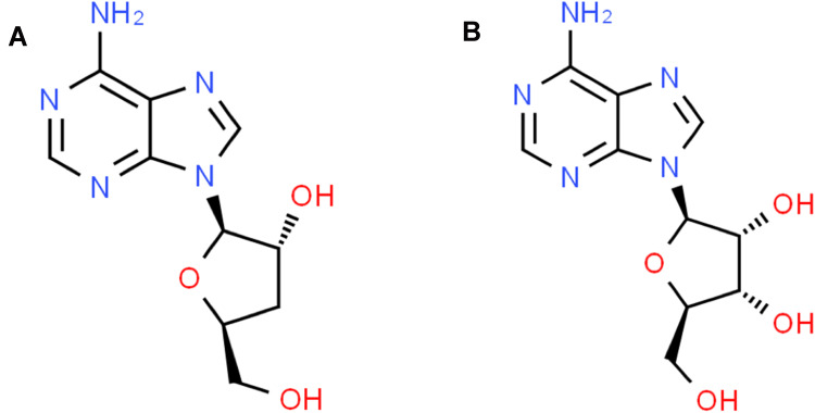 Cordycepin Nanoencapsulated in Poly(Lactic-Co-Glycolic Acid) Exhibits Better Cytotoxicity and Lower Hemotoxicity Than Free Drug.