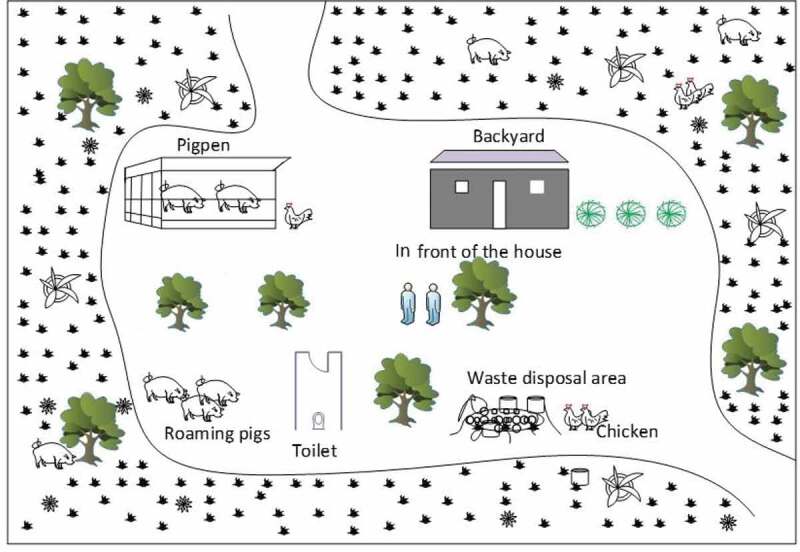 Soil contamination by Taenia solium egg DNA in rural villages in Kongwa district, Tanzania.
