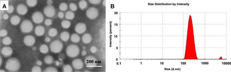 Cordycepin Nanoencapsulated in Poly(Lactic-Co-Glycolic Acid) Exhibits Better Cytotoxicity and Lower Hemotoxicity Than Free Drug.