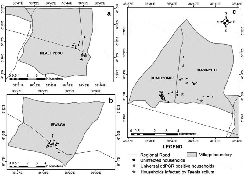 Soil contamination by Taenia solium egg DNA in rural villages in Kongwa district, Tanzania.