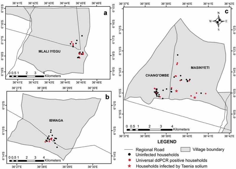 Soil contamination by Taenia solium egg DNA in rural villages in Kongwa district, Tanzania.
