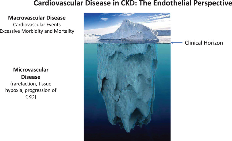 Microvascular disease in chronic kidney disease: the base of the iceberg in cardiovascular comorbidity.
