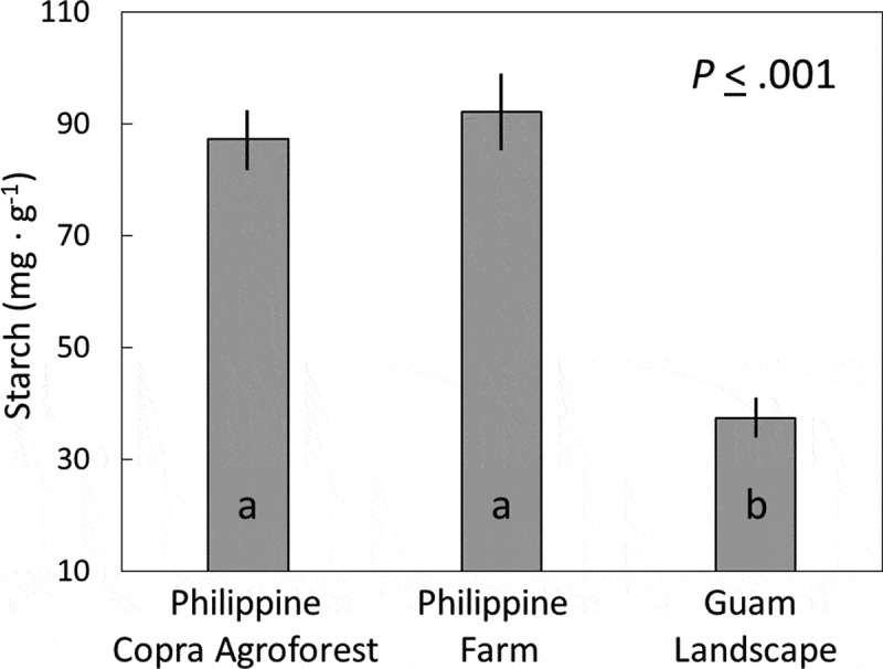 Burrowing activity of coconut rhinoceros beetle on Guam cycads.