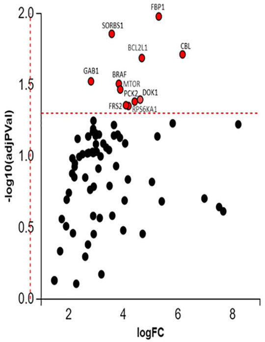 The insulin signaling pathway is dysregulated in cumulus cells from obese, infertile women with polycystic ovarian syndrome with an absence of clinical insulin resistance.