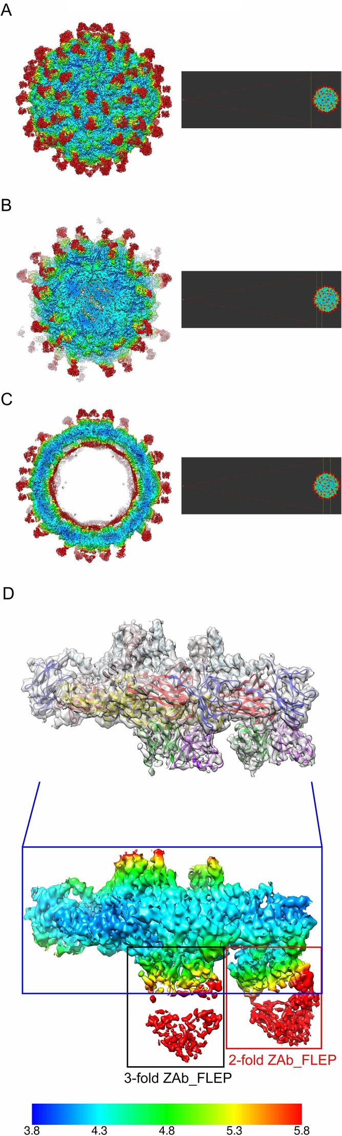 A complex between the Zika virion and the Fab of a broadly cross-reactive neutralizing monoclonal antibody revealed by cryo-EM and single particle analysis at 4.1 Å resolution