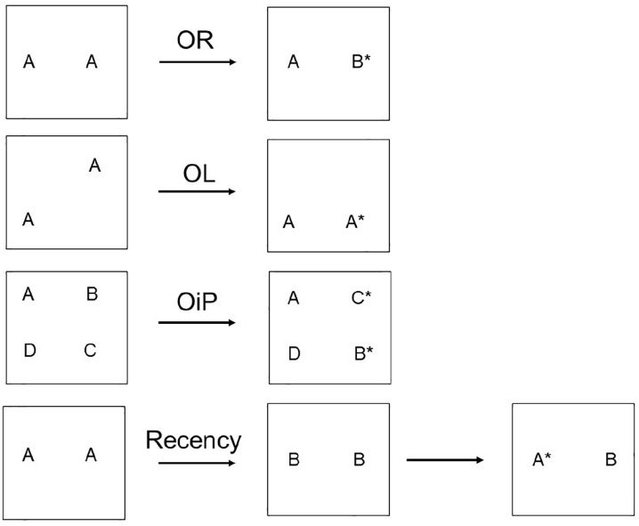 Distributed interactive brain circuits for object-in-place memory: A place for time?