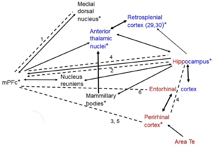 Distributed interactive brain circuits for object-in-place memory: A place for time?