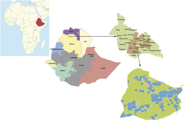 Home-based HPV self-sampling assisted by a cloud-based electronic data system: Lessons learnt from a pilot community cervical cancer screening campaign in rural Ethiopia