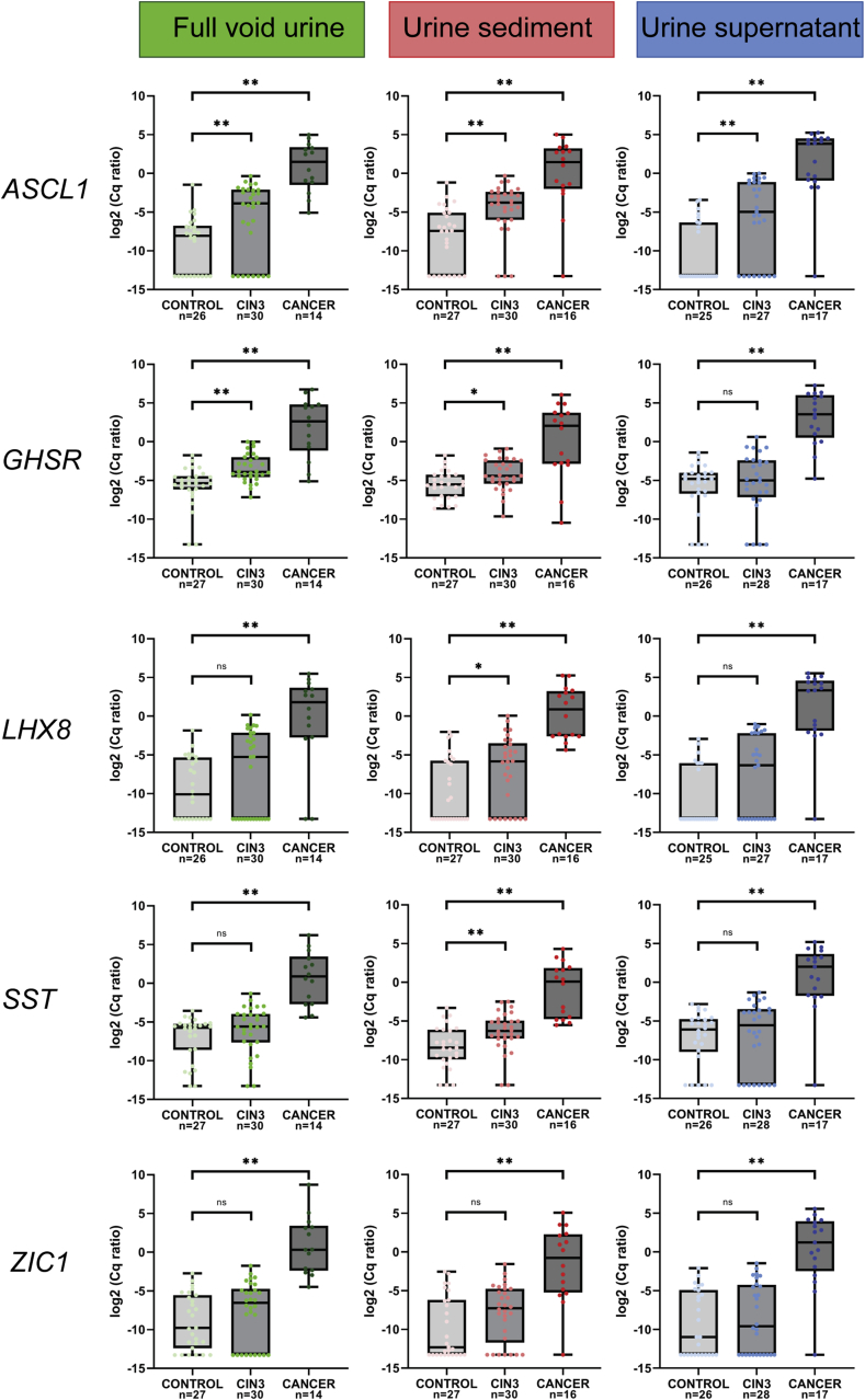 Methylation analysis in urine fractions for optimal CIN3 and cervical cancer detection