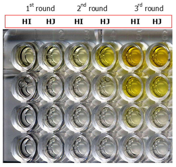 Recombinant antibodies against Iranian cobra venom as a new emerging therapy by phage display technology.