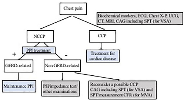 Is Noncardiac Chest Pain Truly Noncardiac?