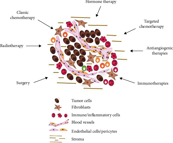 Lessons from Hippocrates: Time to Change the Cancer Paradigm.