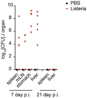 Acute neonatal Listeria monocytogenes infection causes long-term, organ-specific changes in immune cell subset composition.