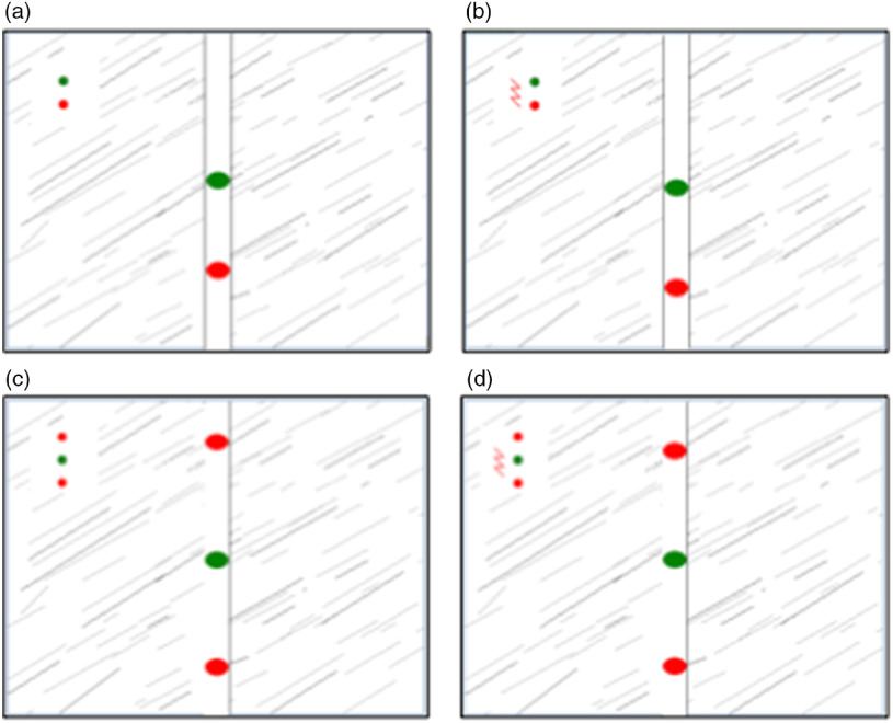 Differentiating anxiety from fear: an experimental-pharmacological approach.