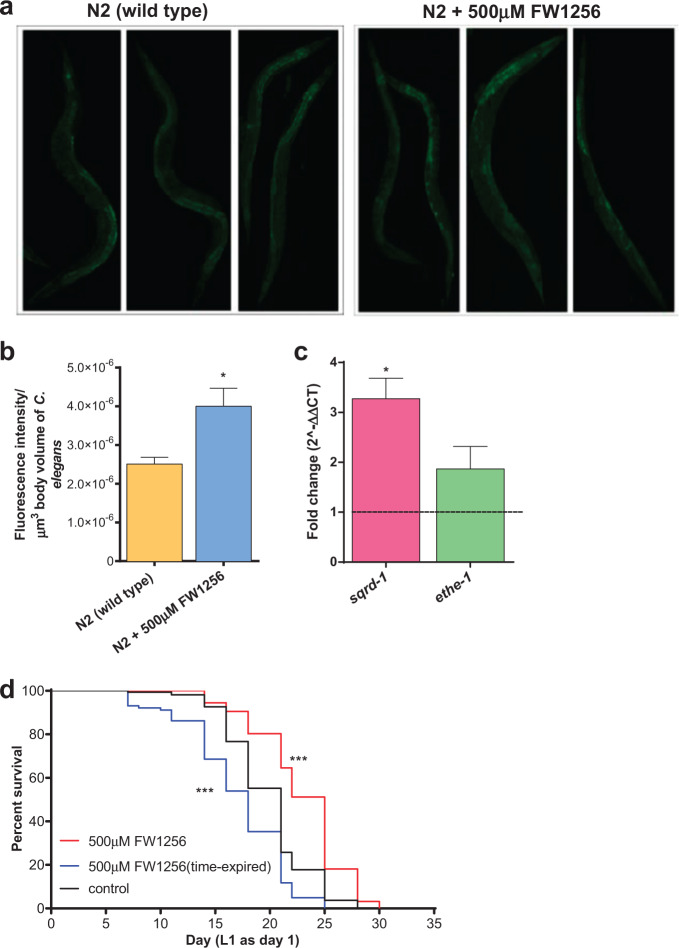 Lifespan and healthspan benefits of exogenous H<sub>2</sub>S in <i>C. elegans</i> are independent from effects downstream of <i>eat-2</i> mutation.