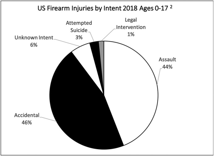 Never Just a Shot in the Dark: Pediatric Firearm Advocacy