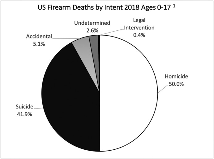 Never Just a Shot in the Dark: Pediatric Firearm Advocacy