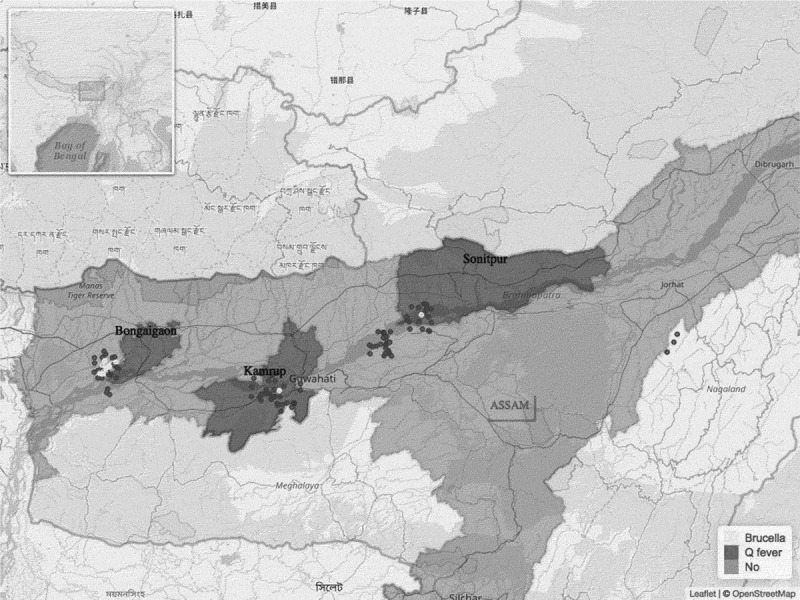 Risk factors for <i>Brucella</i> spp. and <i>Coxiella burnetii</i> infection among small ruminants in Eastern India.