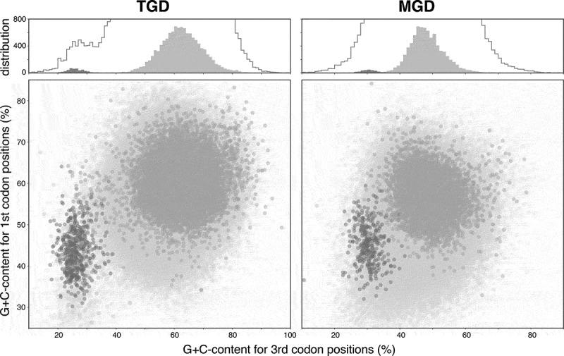 Putative genome features of relic green alga-derived nuclei in dinoflagellates and future perspectives as model organisms.