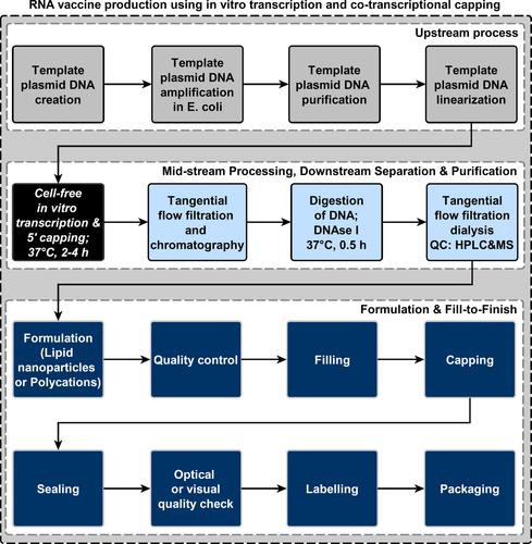 Rapid development and deployment of high-volume vaccines for pandemic response