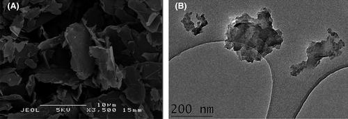 Viral filtration using carbon-based materials