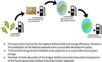 Sustainability of the four generations of biofuels – A review