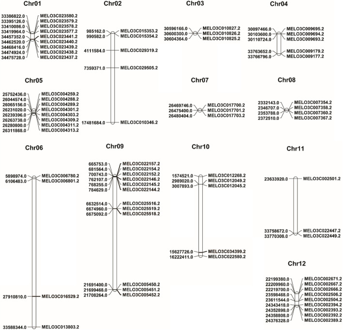 Characterization, identification and expression profiling of genome-wide R-genes in melon and their putative roles in bacterial fruit blotch resistance.