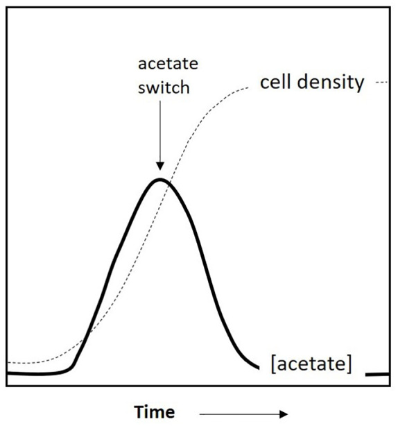 First Observation of an Acetate Switch in a Methanogenic Autotroph (<i>Methanococcus maripaludis</i> S2).