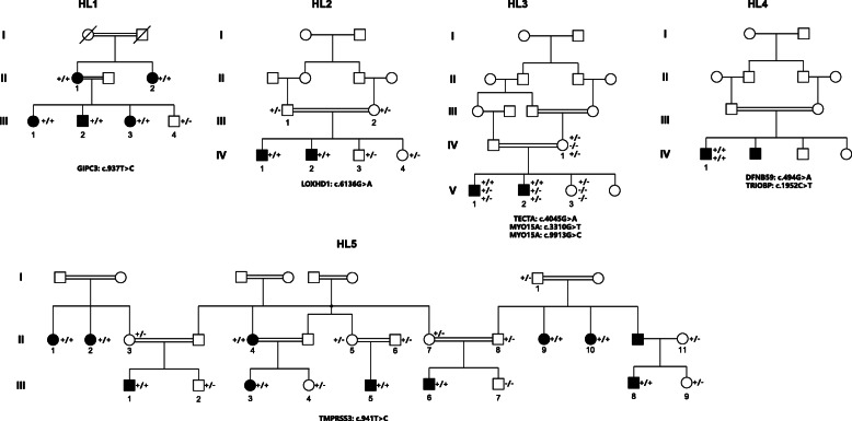 Whole exome sequencing identified mutations causing hearing loss in five consanguineous Pakistani families.