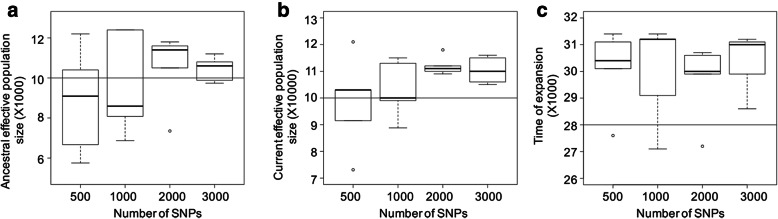 Last Glacial Maximum led to community-wide population expansion in a montane songbird radiation in highland Papua New Guinea.