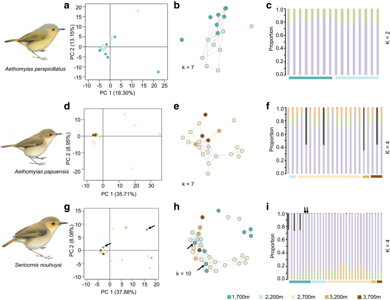 Last Glacial Maximum led to community-wide population expansion in a montane songbird radiation in highland Papua New Guinea.