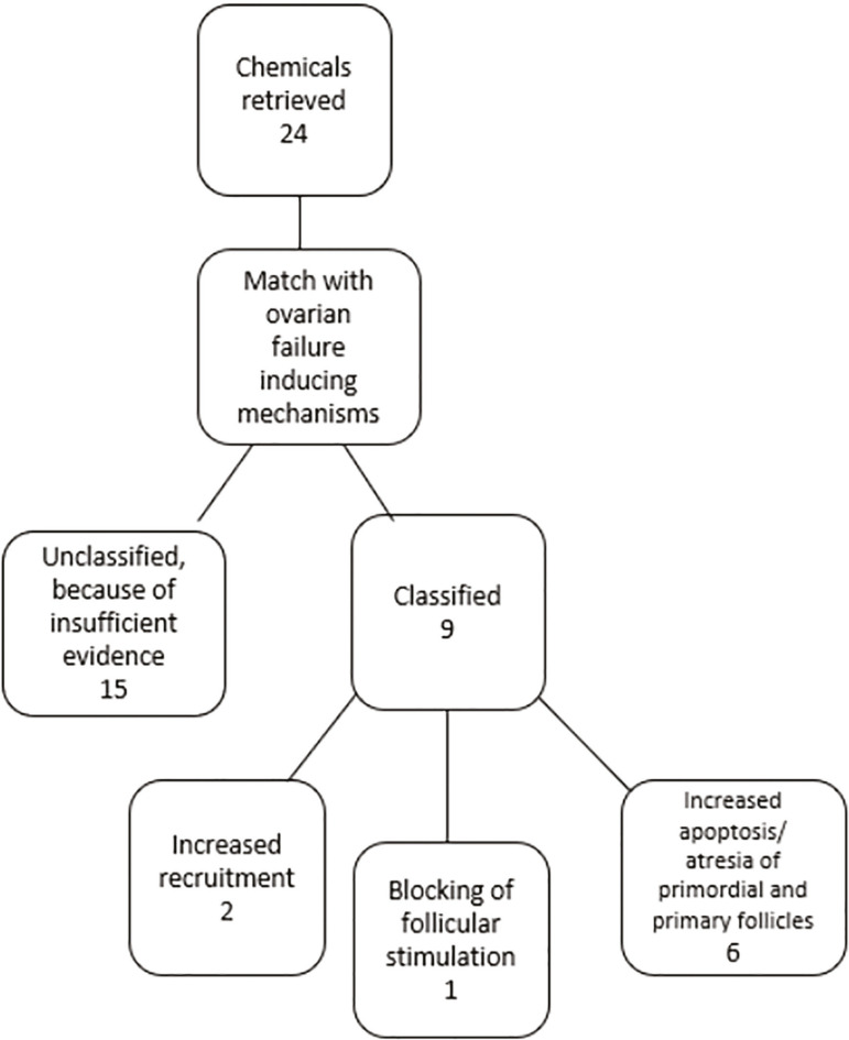 A critical analysis of the impact of endocrine disruptors as a possible etiology of primary ovarian insufficiency.