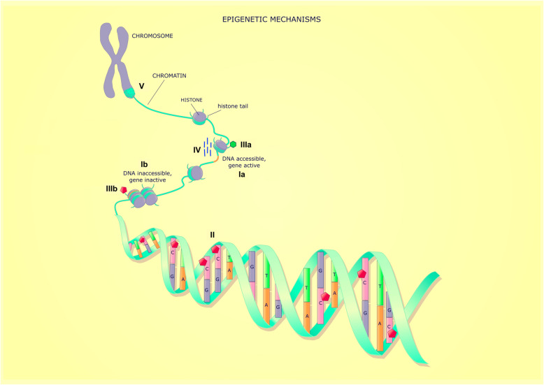 DNA methylation biomarkers of future health outcomes in children.