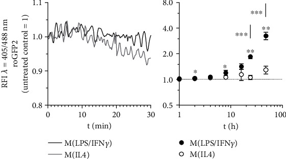 Redox Regulation of PPAR<i>γ</i> in Polarized Macrophages.