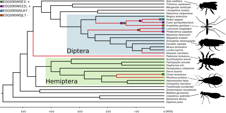 Expansions and contractions in gene families of independently-evolved blood-feeding insects.